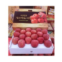 자체브랜드 지리산사과5kg 명절선물 함양사과, 5, 사과17과