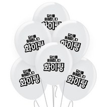 즐거운파티랑 인쇄풍선 20개, F06 화이팅