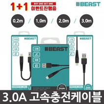 샵비스트 3.0A 고속충전케이블 1+1, 1개, 01-06.샵비 C타입+C타입(20cm)