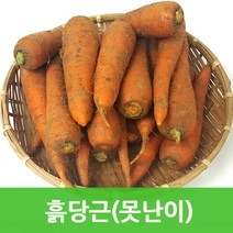 싱싱지오 싱싱한 흙당근10kg 보통, 선택하세요