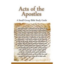 Acts of the Apostles a Small Group Bible Study Guide Paperback, Pressed Thoughts LLC