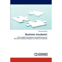 Business Incubator Paperback, LAP Lambert Academic Publishing