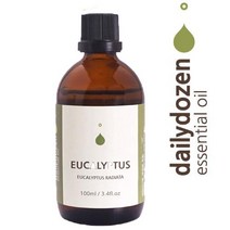 데일리더즌 (D)유칼립투스라디아타 100ml (Eucalyptus Oil) 유칼립투스라디아타 아로마오일, 1개