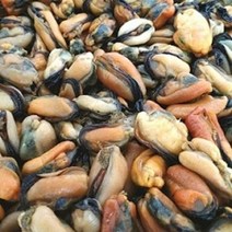 통영싱싱 멍게 가리비 꼬막 제철수산물, 1개, 반건조홍합살500g
