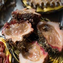 통영 자연산 비단가리비 외 해산물, 1개, 돌멍게500g