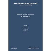 Atomic Scale Structure of Interfaces:Volume 159, Cambridge University Press