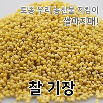 2022년 국산 찰기장 기장쌀 기장 쌀아지매, 1개, 3kg