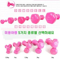 어썸바운드 정품정량 미용아령(핑크), 정품미용아령(한쌍), 2kg