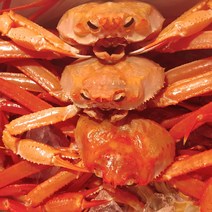 산지직송 동해 홍게 붉은대게 조업 입항 당일 생물 자숙(찜), 1박스, 01_홍게 일반형 3kg 6~10마리(생물)