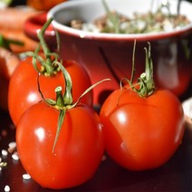 달달과수원 탱글탱글 정품 찰토마토 특품 한박스, 1박스, 특품10KG