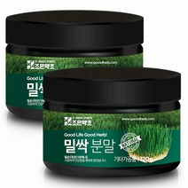 조은약초 프리미엄 밀싹가루 120g x 2개