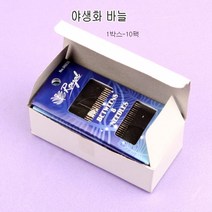 조이십자수 로얄 야생화자수 바늘 8호-[1박스=10팩]
