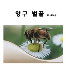 양구벌꿀 강원도 양구 벌꿀 2.4kg, 1개