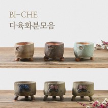 비채 다육 화분 모음, 3.꽃수제주물럭