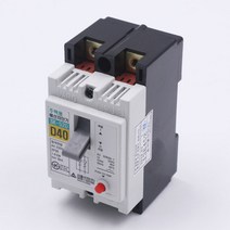 서울산전 주택용 배선용차단기 SK-52D 2P D40, 1개