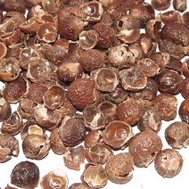 [비누열매] 트리리프솝베리열매(Soap berry whole)-100g (천연거품재료), 짙은붉은 갈색
