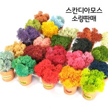 스칸디아모스20g 40g 본사직영 정품 스칸디아모스, 모스그린20g