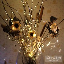 DAPARA 와이어전구 led 무드등, 01_웜화이트30구