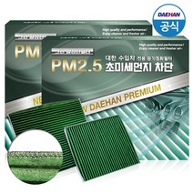 대한 PM2.5 그린활성탄 수입차에어컨필터, 1개, 닛산 s19 _ 큐브 2009~
