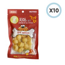 뉴트리오 치아에 좋은껌 (연어) 80g 10개/애견껌