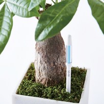 서스티 SUSTEE 일본 화분수분측정기, S(화이트), 1개
