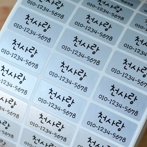 네임에이드 네임스티커 중형 그림없이, 602-중형실버 그림없이