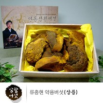 류충현 상황버섯 상황버섯100% 상황버섯원물 300g 상황버섯진액 상황버섯물 상황버섯효능, 1개