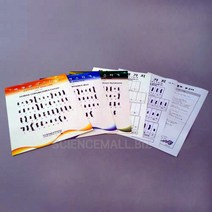 핵형분석스티커 [10인1세트], 10인1세트