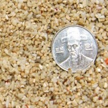 산호사 1~3mm(약3.5kg), 단품