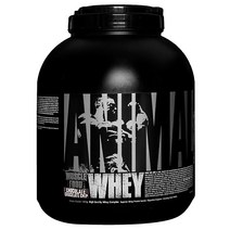 유니버셜뉴트리션 애니멀 머슬 푸드 웨이 프로틴 초콜릿 칩 단백질 보충제, 1.81kg, 1개