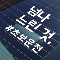 모노먼트 초보운전 스티커 - 넘나 느린 것 (L사이즈)