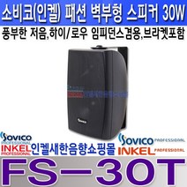 소비코(인켈) FS-30T 소비코(인켈)패션스피커30W 최대60W 하이로우임피던스겸용 강의실 회의실 카페 매장 학교 휘트니스 교회등, FS-30T 흰색