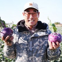 삿갓유통 달고 시원한 제주도 꿀맛 콜라비 5kg 10kg, 1박스