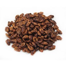 건조번데기 20g /햄스터간식/자연간식, 건조번데기20g