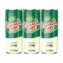 캐나다드라이 진저에일, 250ml, 60개