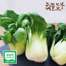하늘농부 친환경 청경채 200g, 1봉