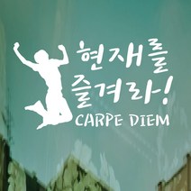 페이퍼스토리 명언스티커 감성글귀 인테리어 매장 카페 아이방 캘리 A28.카르페디엠 스티커, 레드