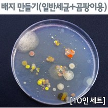 배지 만들기(일반세균＋곰팡이)-10인용