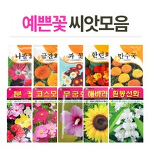 화분월드 고급 꽃씨, (고급꽃씨)과꽃1000립
