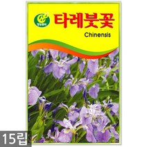 봉선화 50립 - 봉숭아 씨앗 봉선화씨 꽃씨 꽃씨앗 씨앗 씨 야생화씨앗 봉숭아씨, 20_청농_타레붓꽃(15립)