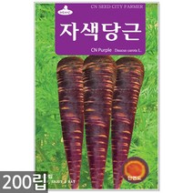 청농종묘 흰색 찰옥수수 씨앗 70립 옥수수씨앗 옥수수씨 씨 찰옥수수씨앗, 10_자색당근(200립)