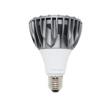 롱 LED PAR30 COB타입 30W 주광색(흰색), 단품, 단품