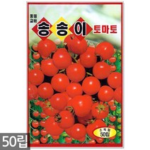 땅콩호박 씨앗 10립 / 땅콩호박씨앗 땅콩호박씨 호박씨앗 호박씨, 09_송송이방울토마토(50립)