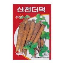 경신종묘 더덕씨앗 산천더덕 3g