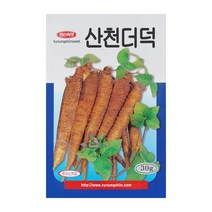 경신종묘 더덕씨앗 산천더덕 30g