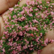 한결모형 조경재료 파우더, 옵션46