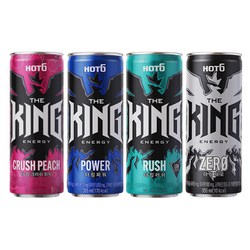 핫식스 더킹 355ml 크러쉬피치+파워+러쉬+제로 6캔씩 총 24캔, 355ml, 1세트