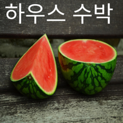 [국내산] 고당도 정품 하우스 수박 7-8kg 내외 시원함과 달콤한 과즙의 향기(당일수확/산지직송)