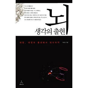 뇌 생각의 출현:대칭 대칭의 붕괴에서 의식까지