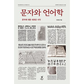 [따비]문자와 언어학 : 문자에 대한 새로운 시각 - 한국한자연구소 연구총서 14, 연규동, 따비